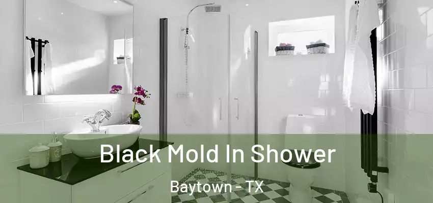  Black Mold In Shower Baytown - TX