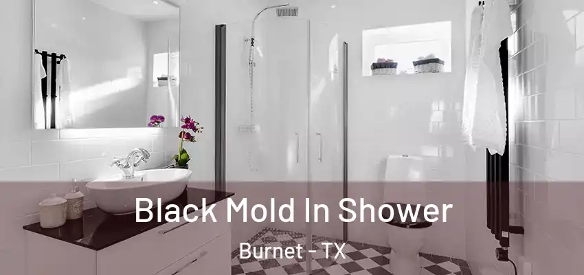  Black Mold In Shower Burnet - TX
