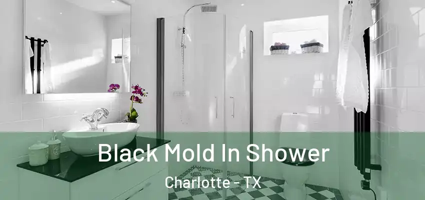  Black Mold In Shower Charlotte - TX