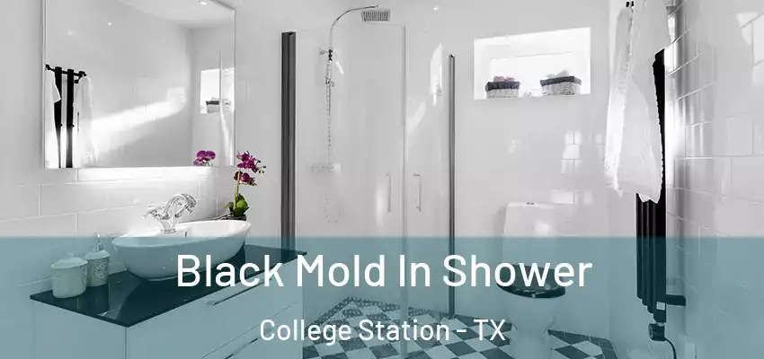  Black Mold In Shower College Station - TX