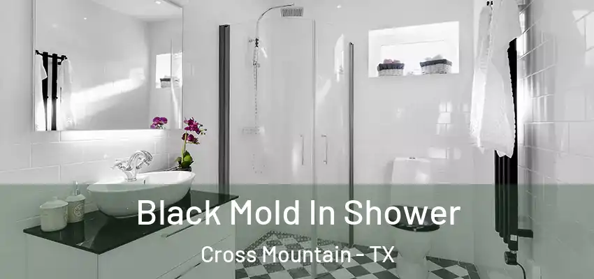  Black Mold In Shower Cross Mountain - TX