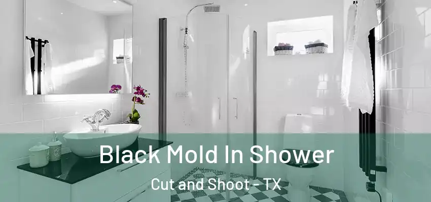  Black Mold In Shower Cut and Shoot - TX