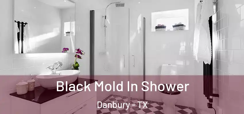 Black Mold In Shower Danbury - TX