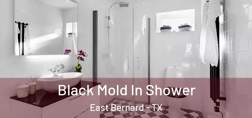  Black Mold In Shower East Bernard - TX