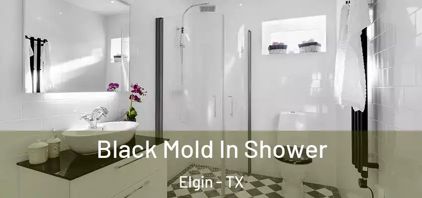  Black Mold In Shower Elgin - TX
