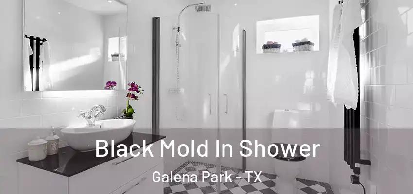  Black Mold In Shower Galena Park - TX