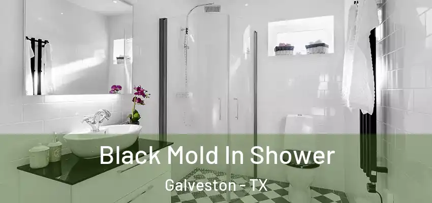  Black Mold In Shower Galveston - TX