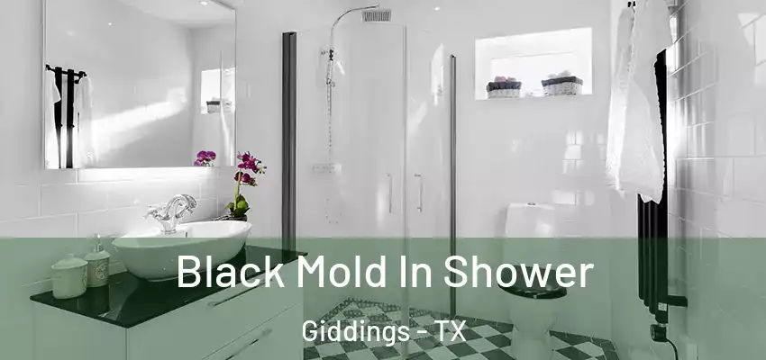  Black Mold In Shower Giddings - TX
