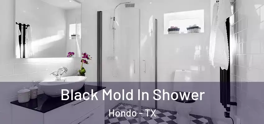  Black Mold In Shower Hondo - TX