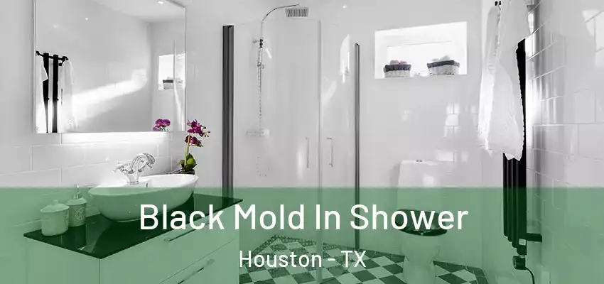  Black Mold In Shower Houston - TX
