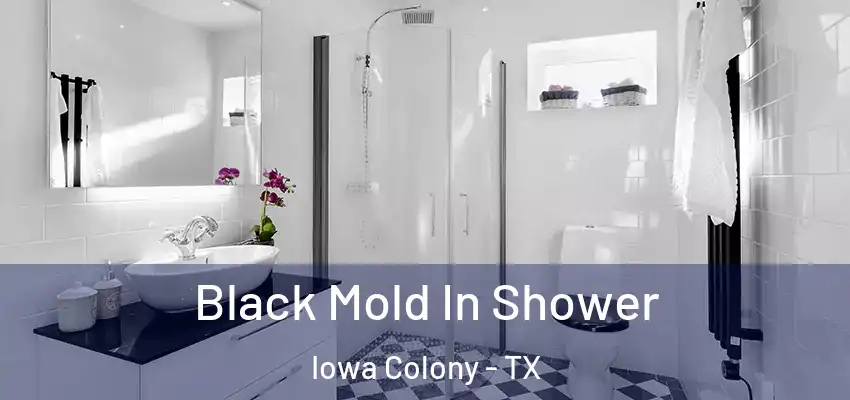  Black Mold In Shower Iowa Colony - TX