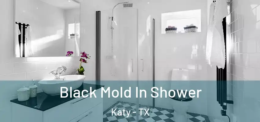  Black Mold In Shower Katy - TX