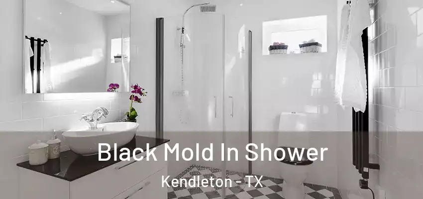  Black Mold In Shower Kendleton - TX