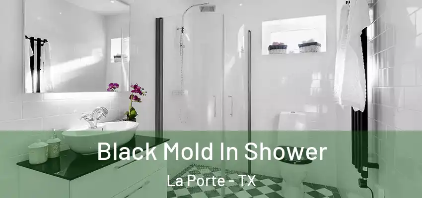  Black Mold In Shower La Porte - TX