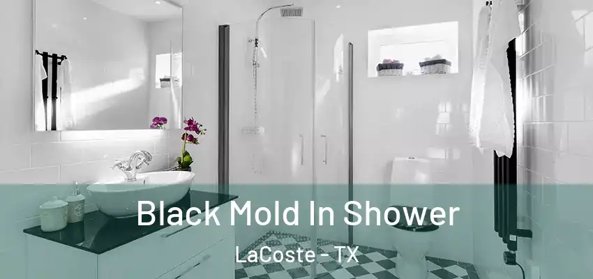  Black Mold In Shower LaCoste - TX