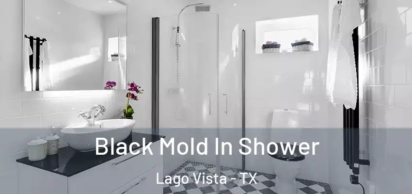  Black Mold In Shower Lago Vista - TX