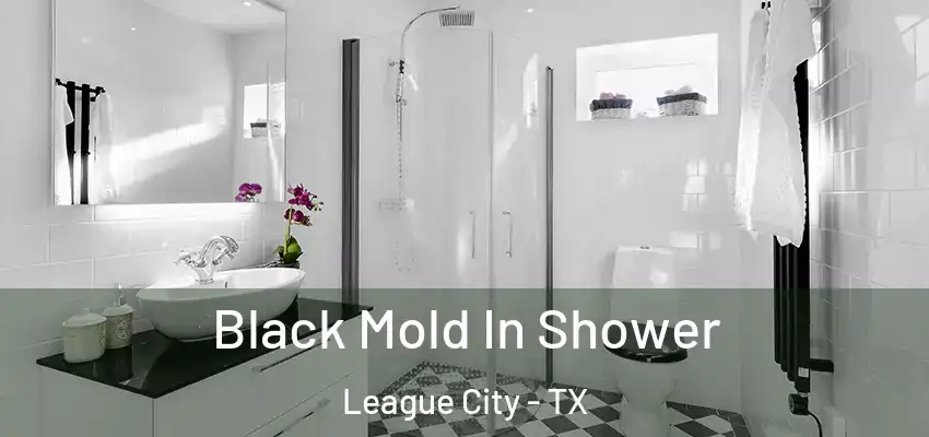  Black Mold In Shower League City - TX