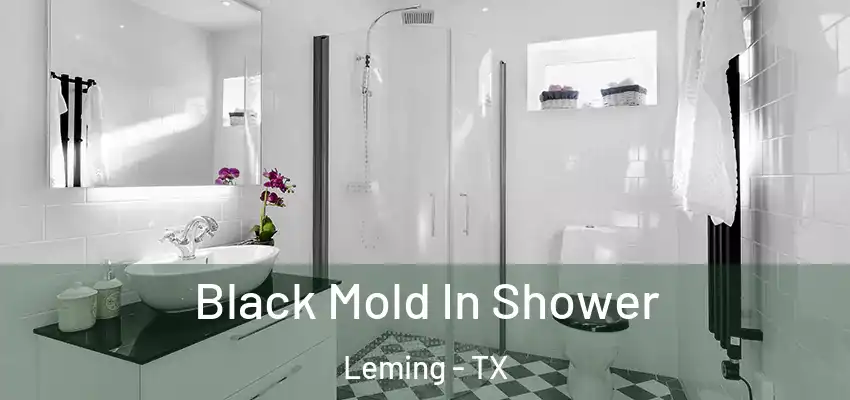  Black Mold In Shower Leming - TX