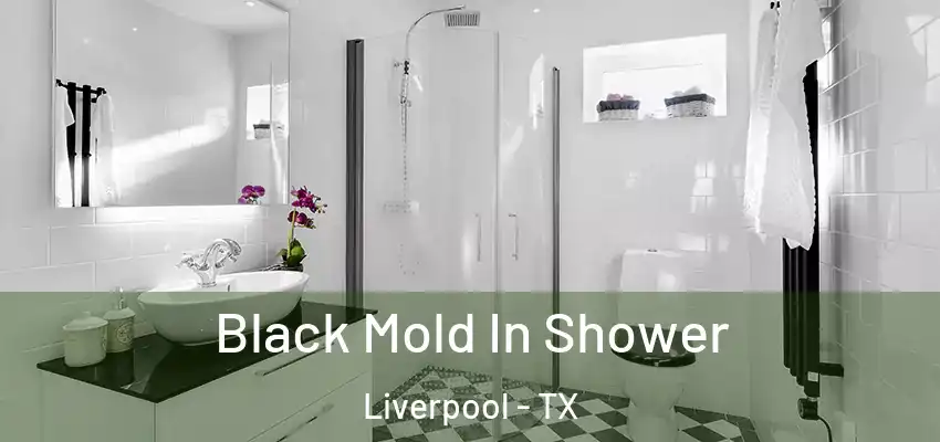  Black Mold In Shower Liverpool - TX