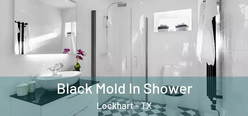  Black Mold In Shower Lockhart - TX