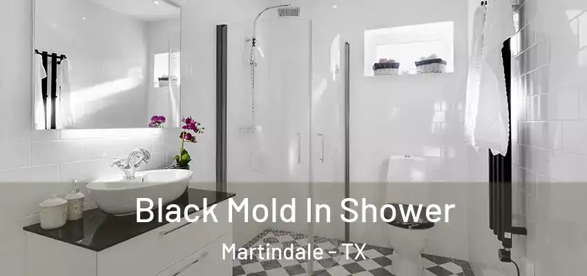  Black Mold In Shower Martindale - TX