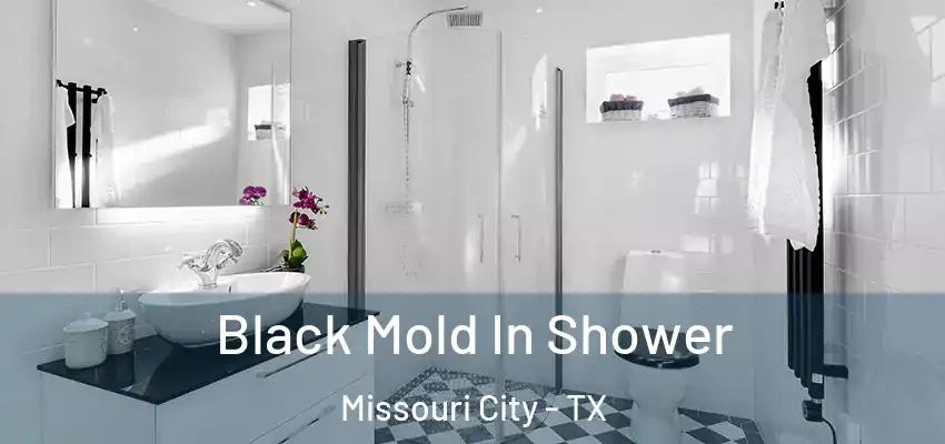  Black Mold In Shower Missouri City - TX