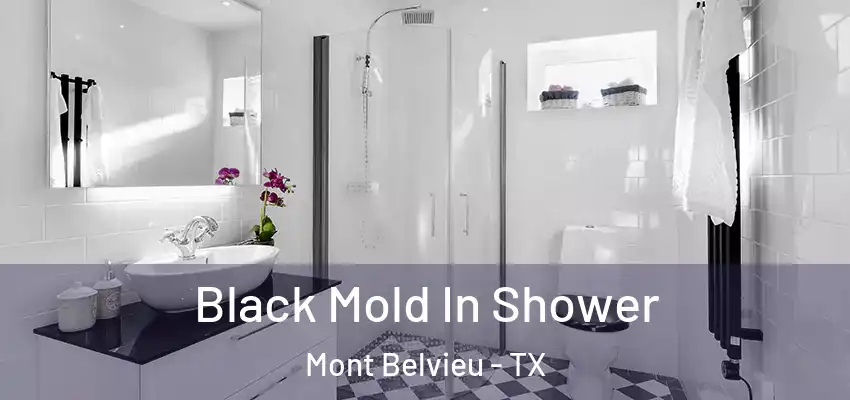  Black Mold In Shower Mont Belvieu - TX