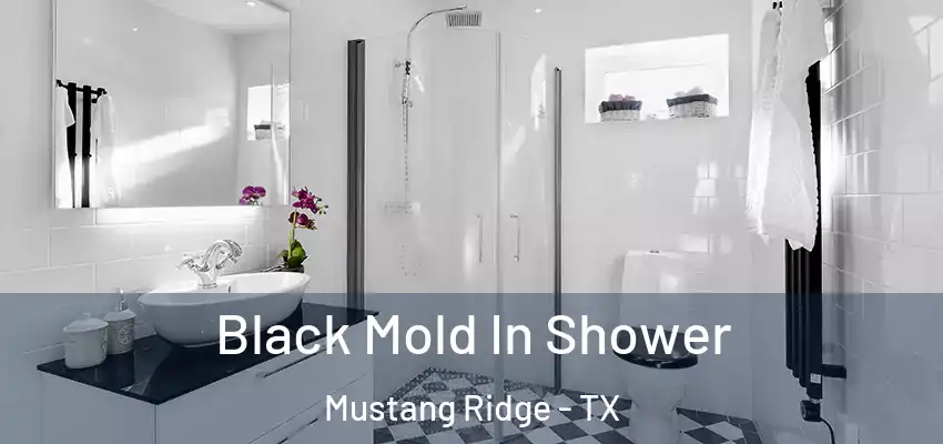  Black Mold In Shower Mustang Ridge - TX