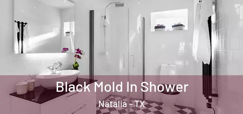  Black Mold In Shower Natalia - TX