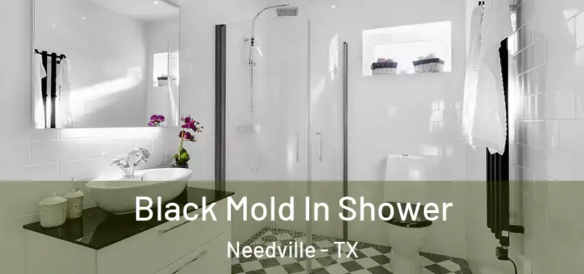  Black Mold In Shower Needville - TX