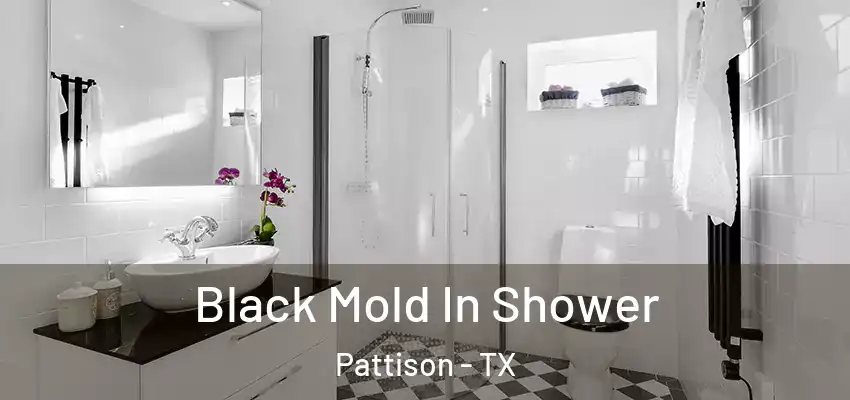  Black Mold In Shower Pattison - TX