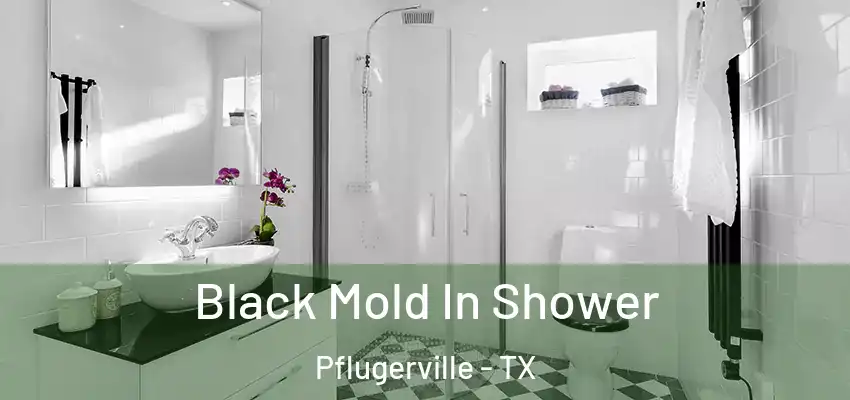  Black Mold In Shower Pflugerville - TX