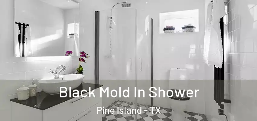  Black Mold In Shower Pine Island - TX