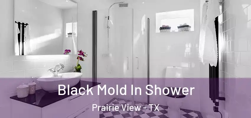  Black Mold In Shower Prairie View - TX
