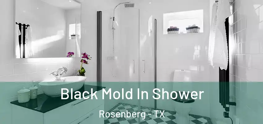  Black Mold In Shower Rosenberg - TX