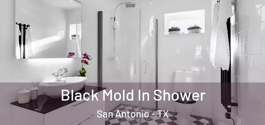  Black Mold In Shower San Antonio - TX