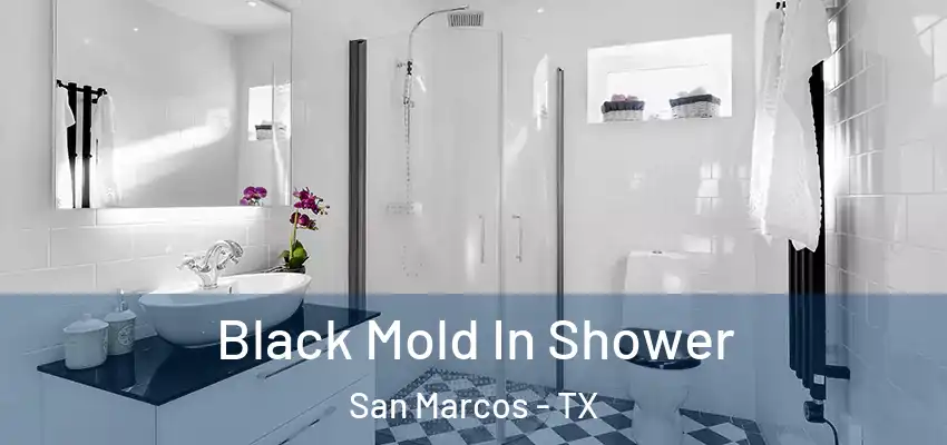  Black Mold In Shower San Marcos - TX