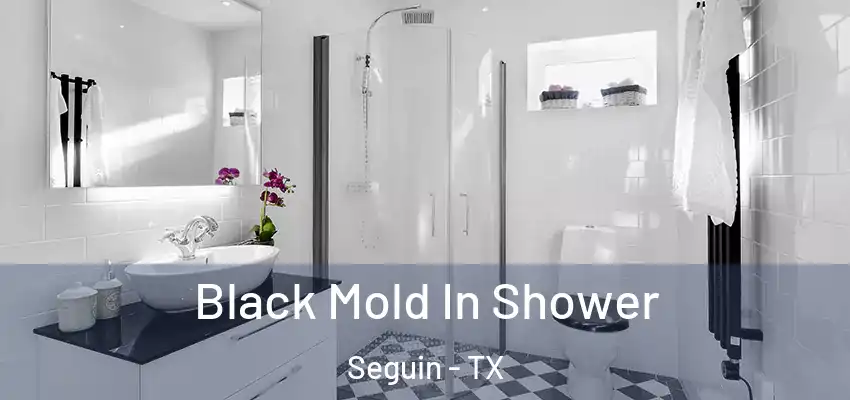  Black Mold In Shower Seguin - TX