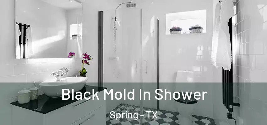  Black Mold In Shower Spring - TX