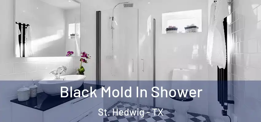  Black Mold In Shower St. Hedwig - TX