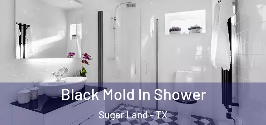  Black Mold In Shower Sugar Land - TX