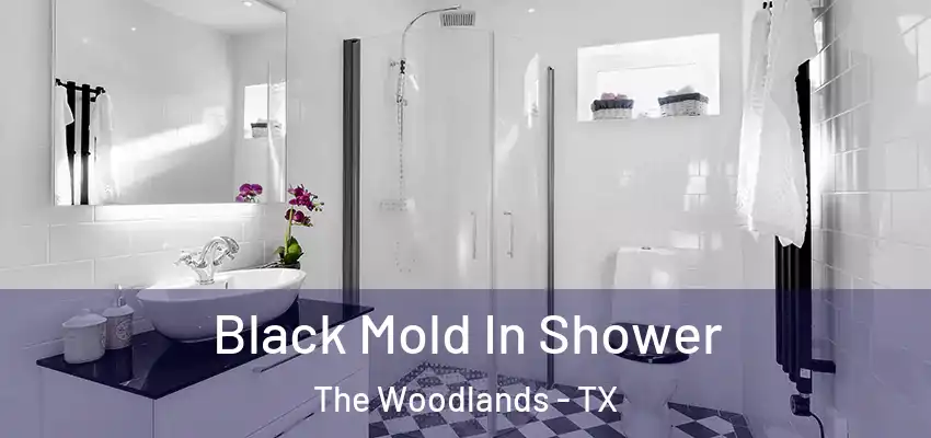  Black Mold In Shower The Woodlands - TX