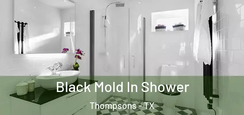  Black Mold In Shower Thompsons - TX
