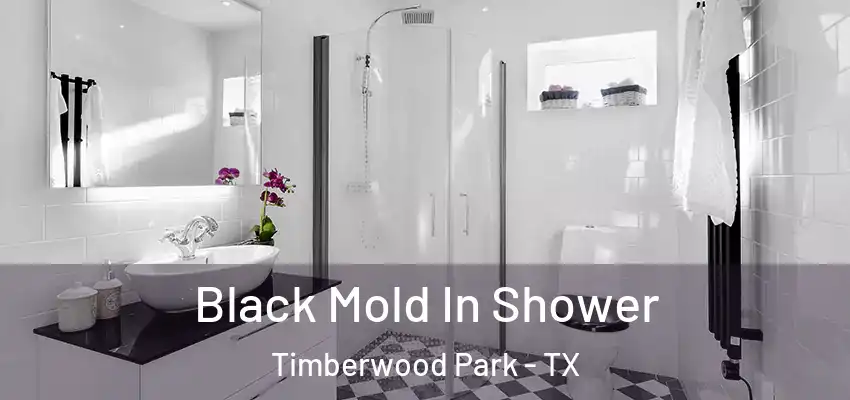  Black Mold In Shower Timberwood Park - TX