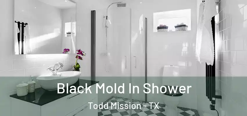  Black Mold In Shower Todd Mission - TX