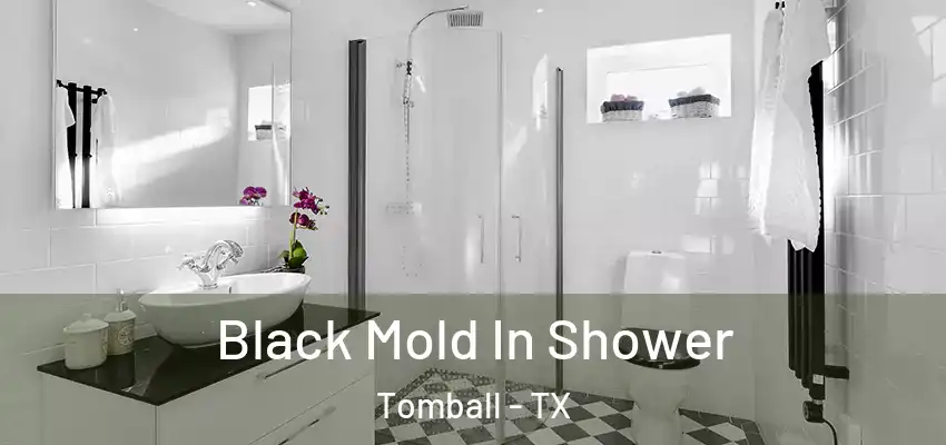  Black Mold In Shower Tomball - TX