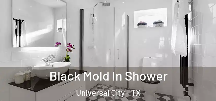  Black Mold In Shower Universal City - TX