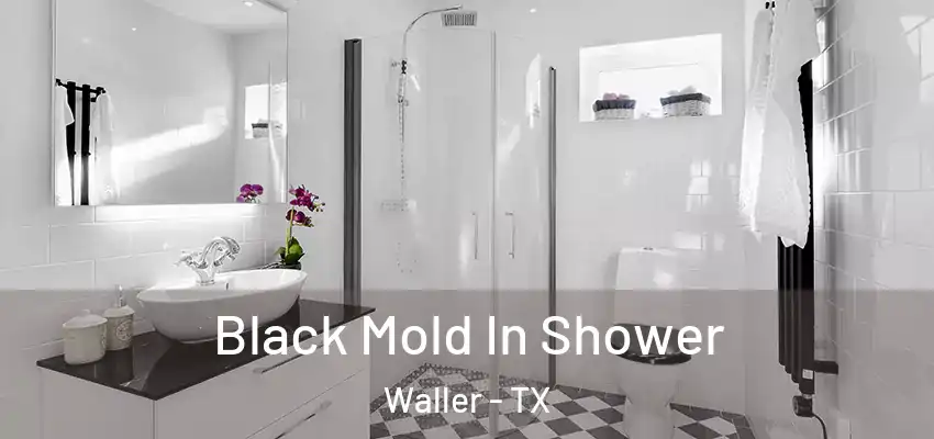  Black Mold In Shower Waller - TX