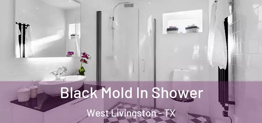  Black Mold In Shower West Livingston - TX