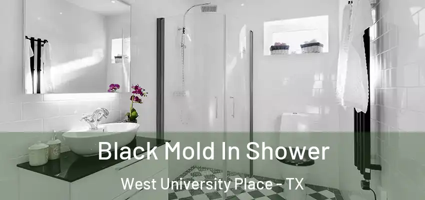  Black Mold In Shower West University Place - TX